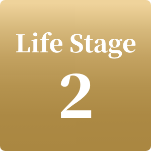 Life Stage 2