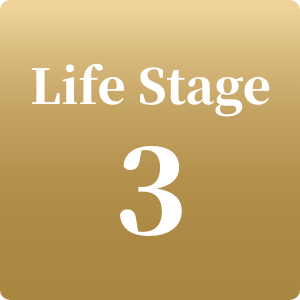 Life Stage 3